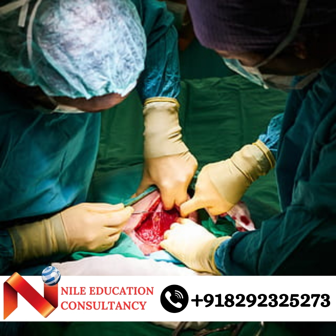 Mansoura University Indian Food